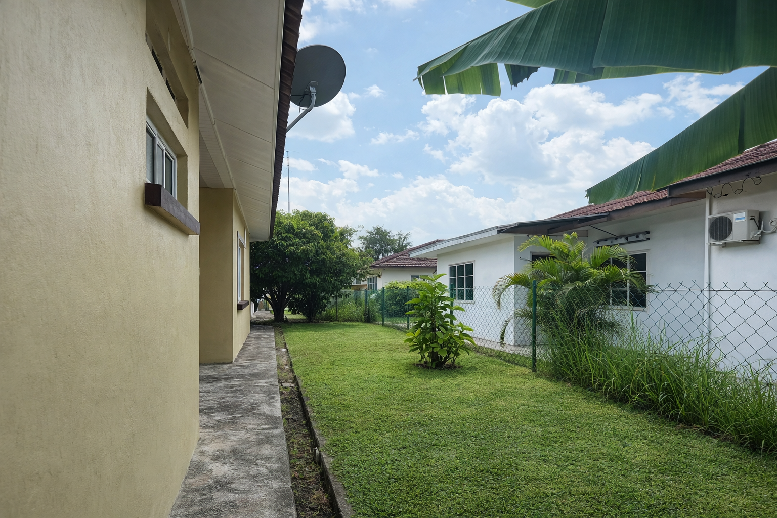 Side Garden